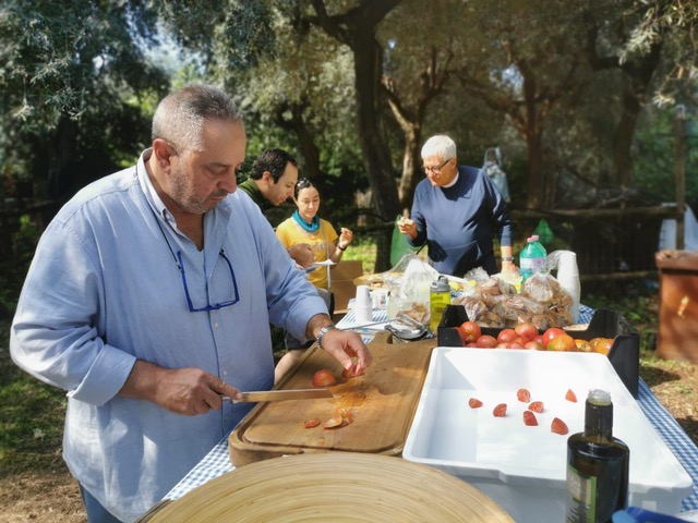 Fondo comunale della Regina Giovanna, raccolti 2.260 chilogrammi di olive
