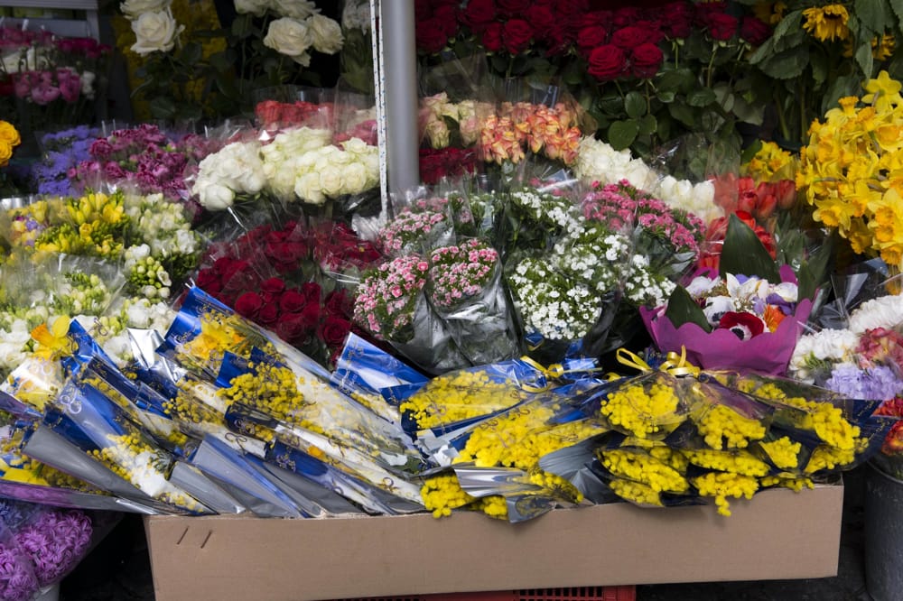 vendita abusiva di fiori